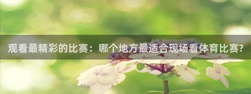 观看最精彩的比赛：哪个地方最适合现场看体育比赛?
