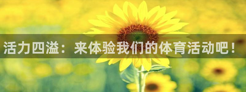活力四溢：来体验我们的体育活动吧！