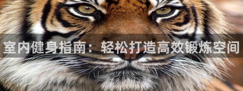 室内健身指南：轻松打造高效锻炼空间