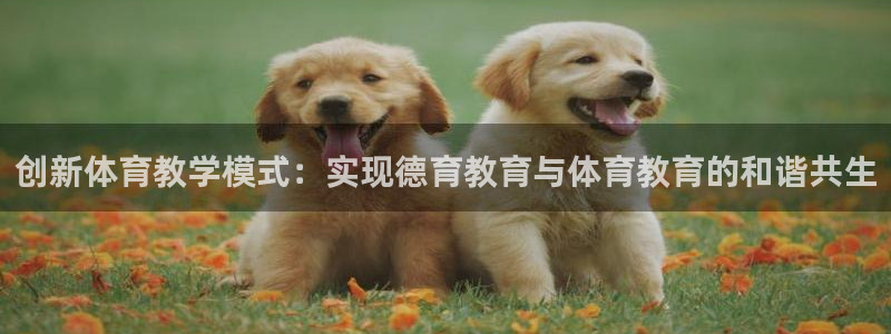 创新体育教学模式：实现德育教育与体育教育的和谐共生
