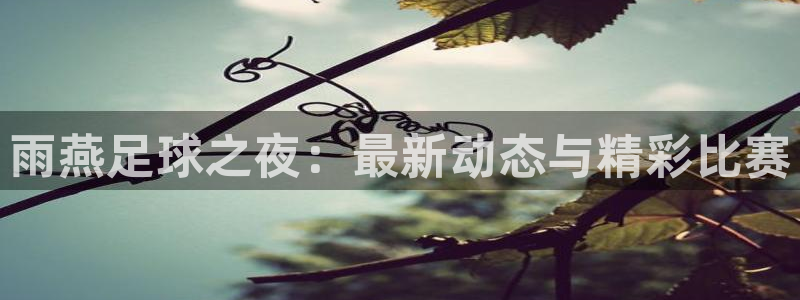 雨燕足球之夜：最新动态与精彩比赛