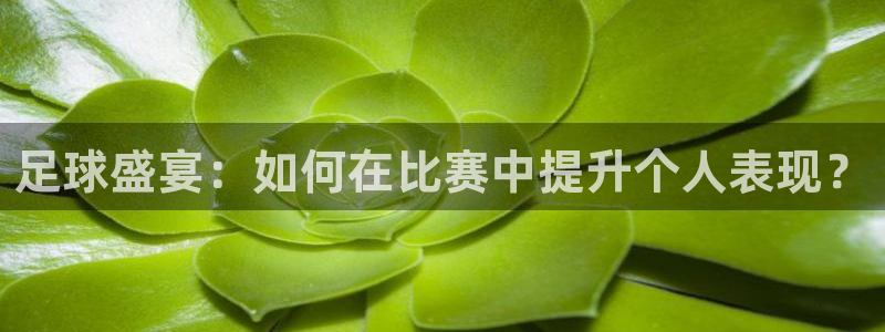 猎豹app安卓版：足球盛宴：如何在比赛中提升个人表现？