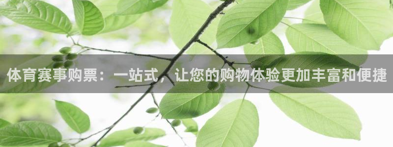 猎豹加速器app怎么用：体育赛事购票：一站式，让您的购物体验更加丰富和便捷