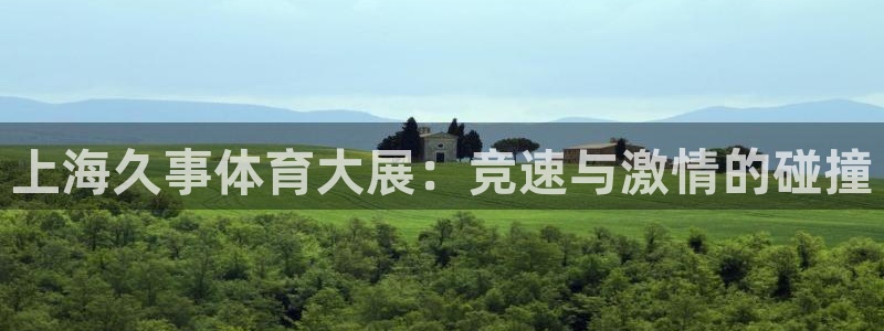 猎豹cs9车联网app下载：上海久事体育大展：竞速与激情的碰撞