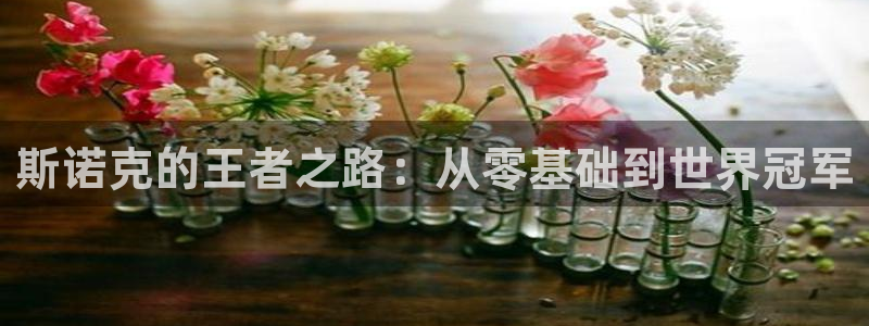 猎豹体育官网：斯诺克的王者之路：从零基础